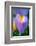 Iris-Charles Bowman-Framed Photographic Print