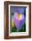 Iris-Charles Bowman-Framed Photographic Print