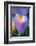 Iris-Charles Bowman-Framed Photographic Print