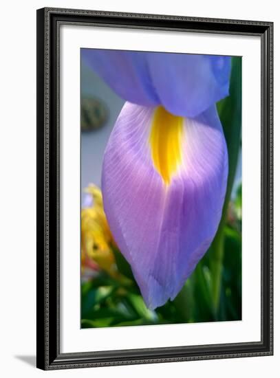 Iris-Charles Bowman-Framed Photographic Print