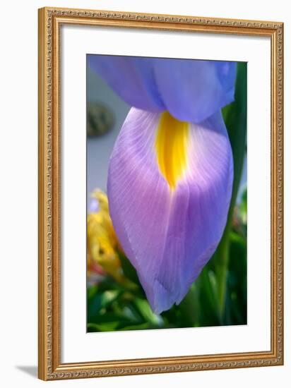 Iris-Charles Bowman-Framed Photographic Print