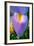 Iris-Charles Bowman-Framed Photographic Print