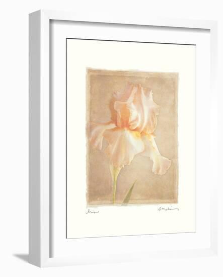 Iris-Amy Melious-Framed Art Print