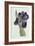 Iris-William Curtis-Framed Giclee Print