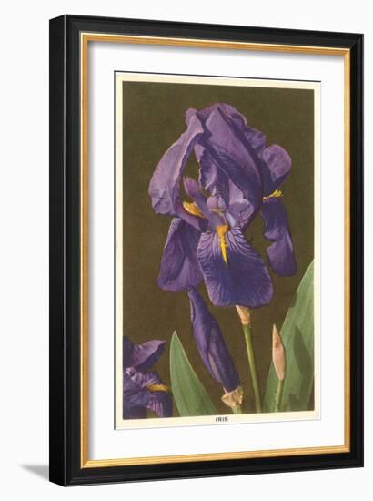 Iris-null-Framed Art Print