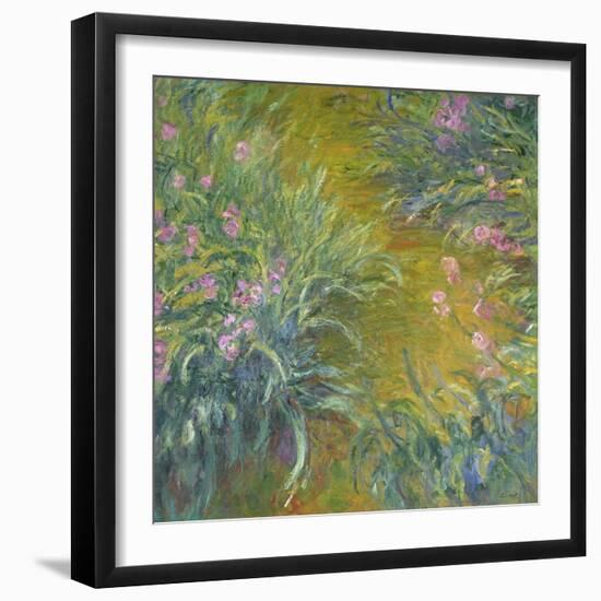 Iris-Claude Monet-Framed Giclee Print