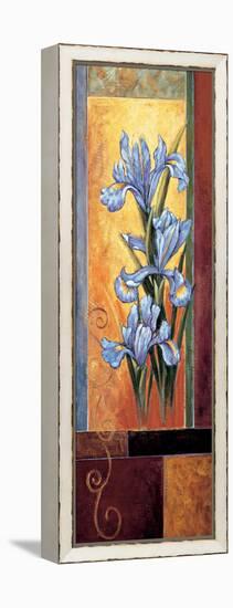 Iris-Jill Deveraux-Framed Stretched Canvas