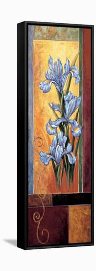 Iris-Jill Deveraux-Framed Stretched Canvas