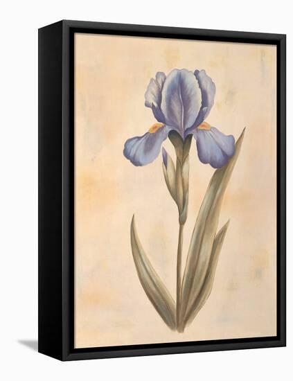 Iris-Virginia Huntington-Framed Stretched Canvas