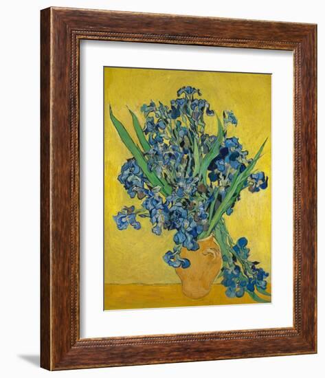 Irises, 1888-Vincent Gogh-Framed Art Print