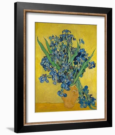 Irises, 1888-Vincent Gogh-Framed Art Print