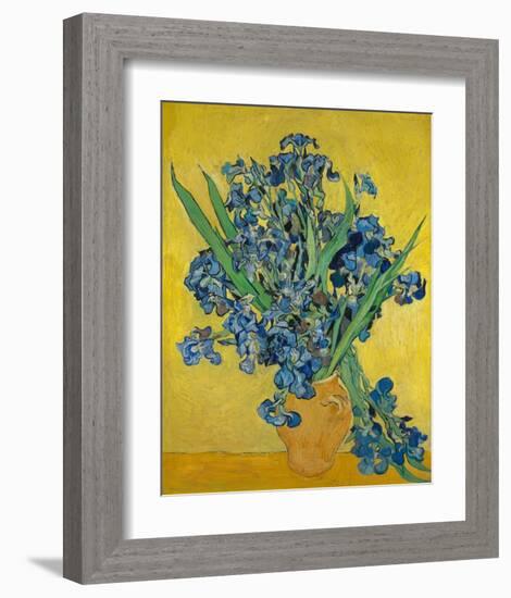 Irises, 1888-Vincent Gogh-Framed Art Print