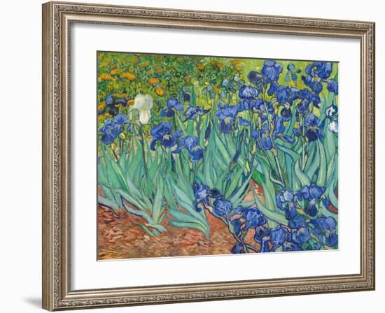 Irises, 1889-Vincent van Gogh-Framed Art Print