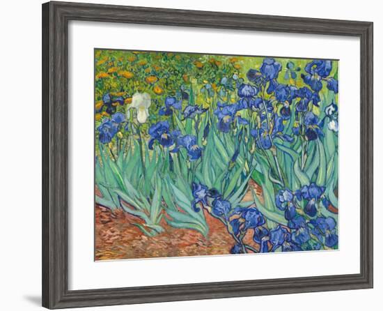 Irises, 1889-Vincent van Gogh-Framed Art Print