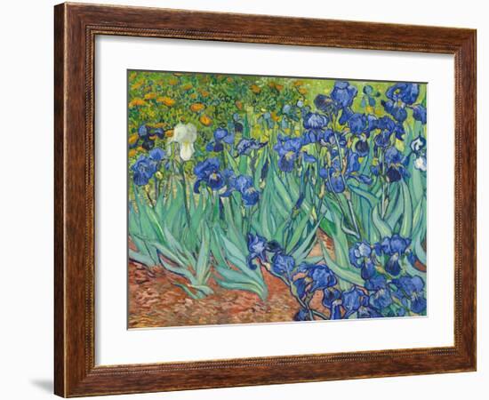 Irises, 1889-Vincent van Gogh-Framed Art Print