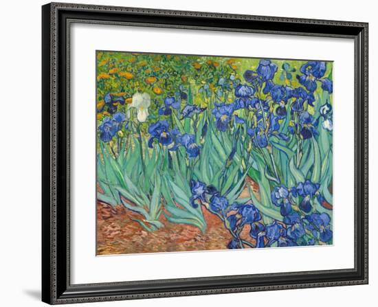 Irises, 1889-Vincent van Gogh-Framed Art Print