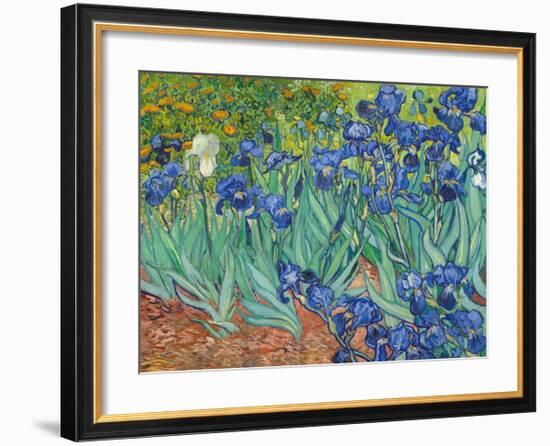 Irises, 1889-Vincent van Gogh-Framed Art Print