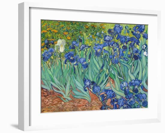 Irises, 1889-Vincent van Gogh-Framed Art Print