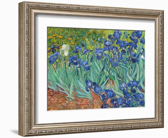 Irises, 1889-Vincent van Gogh-Framed Art Print