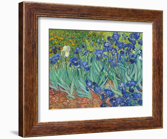 Irises, 1889-Vincent van Gogh-Framed Art Print