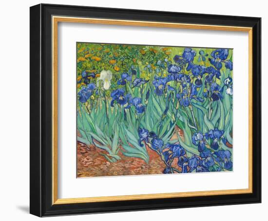 Irises, 1889-Vincent van Gogh-Framed Art Print