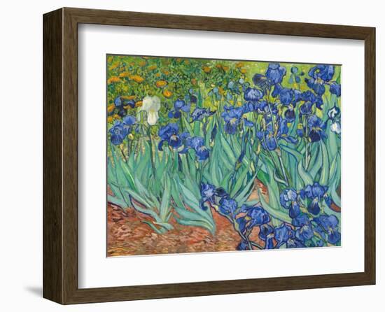 Irises, 1889-Vincent van Gogh-Framed Art Print