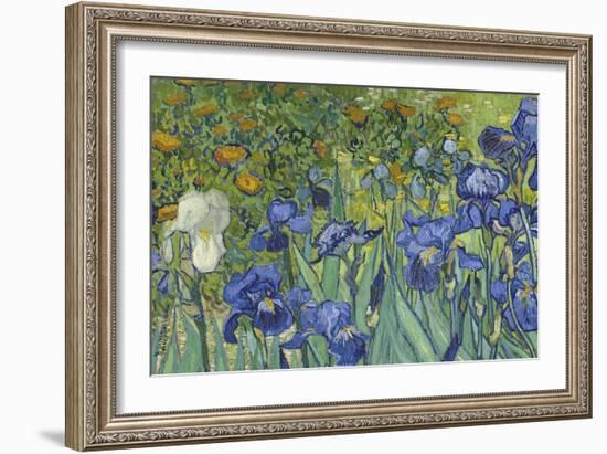 Irises, 1889-Vincent van Gogh-Framed Giclee Print