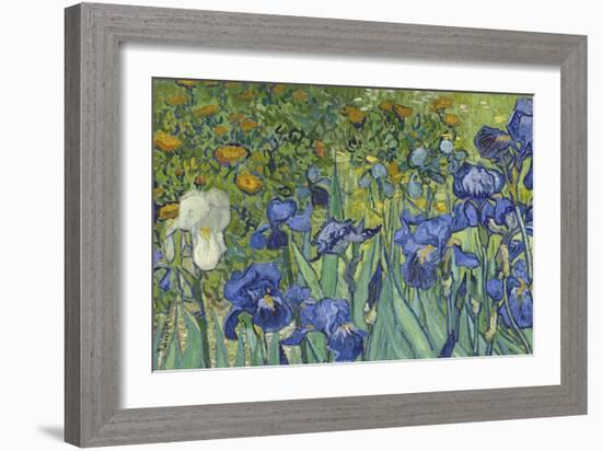 Irises, 1889-Vincent van Gogh-Framed Giclee Print