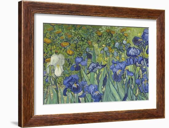 Irises, 1889-Vincent van Gogh-Framed Giclee Print