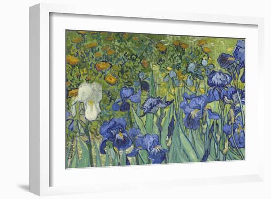 Irises, 1889-Vincent van Gogh-Framed Giclee Print