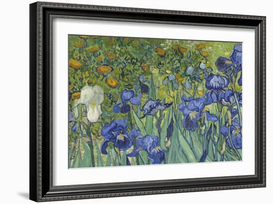 Irises, 1889-Vincent van Gogh-Framed Giclee Print