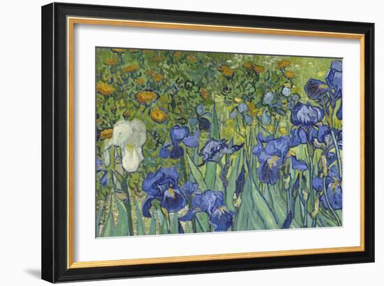 Irises, 1889-Vincent van Gogh-Framed Giclee Print