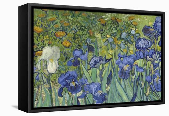 Irises, 1889-Vincent van Gogh-Framed Premier Image Canvas