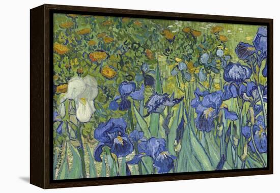 Irises, 1889-Vincent van Gogh-Framed Premier Image Canvas