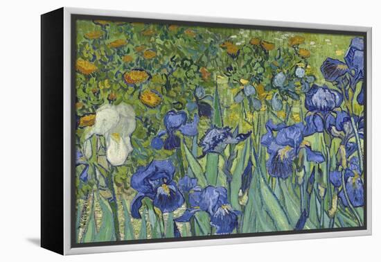 Irises, 1889-Vincent van Gogh-Framed Premier Image Canvas