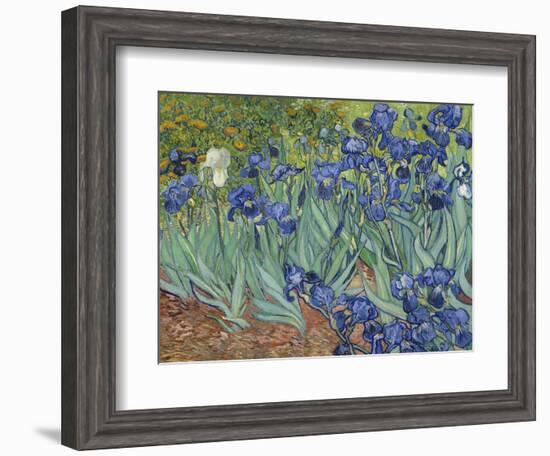 Irises, 1889-Vincent van Gogh-Framed Art Print