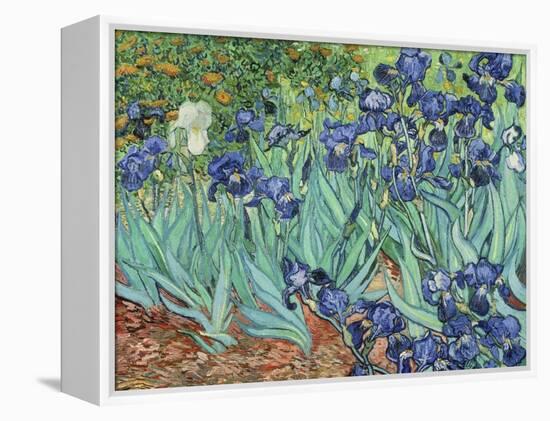 Irises, 1889-Vincent van Gogh-Framed Premier Image Canvas