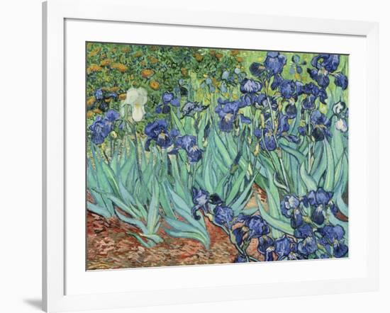 Irises, 1889-Vincent van Gogh-Framed Giclee Print