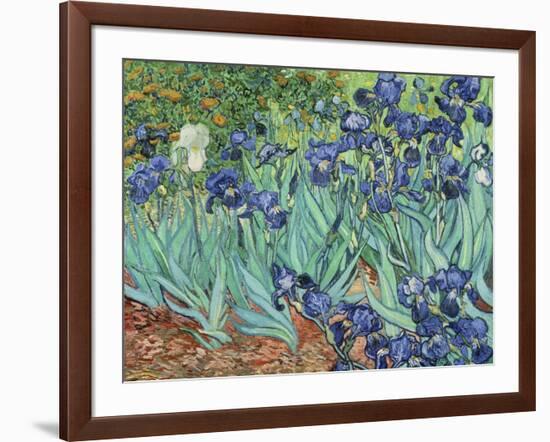 Irises, 1889-Vincent van Gogh-Framed Giclee Print