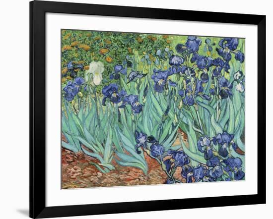 Irises, 1889-Vincent van Gogh-Framed Giclee Print