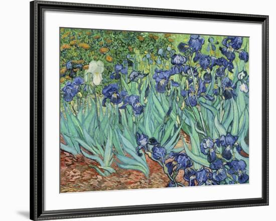 Irises, 1889-Vincent van Gogh-Framed Giclee Print