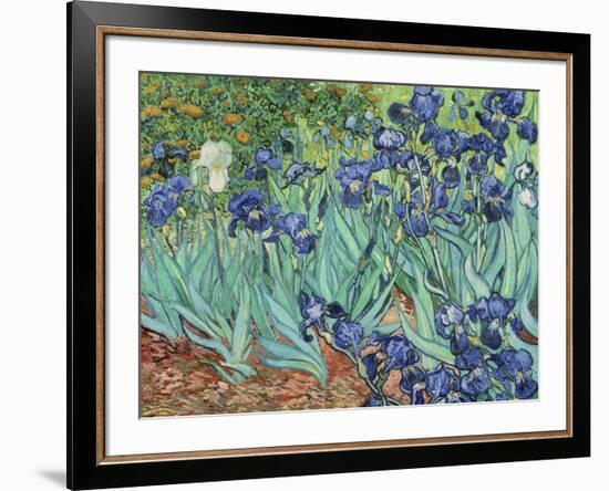 Irises, 1889-Vincent van Gogh-Framed Giclee Print