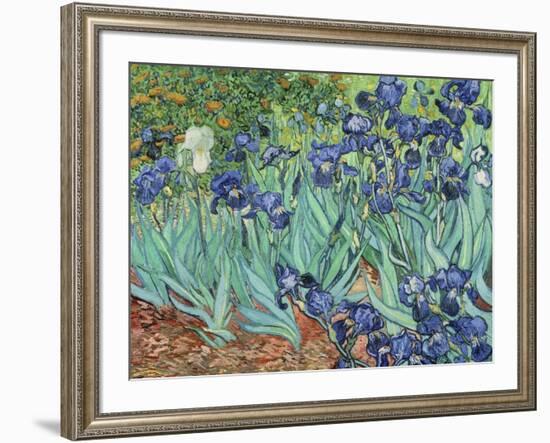 Irises, 1889-Vincent van Gogh-Framed Giclee Print