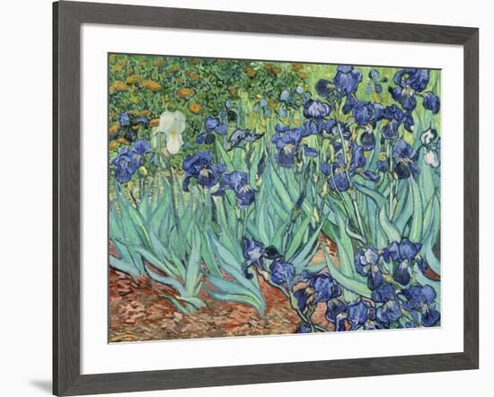 Irises, 1889-Vincent van Gogh-Framed Giclee Print