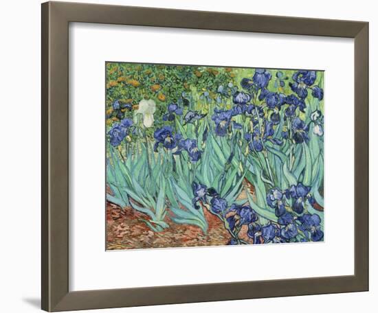 Irises, 1889-Vincent van Gogh-Framed Giclee Print