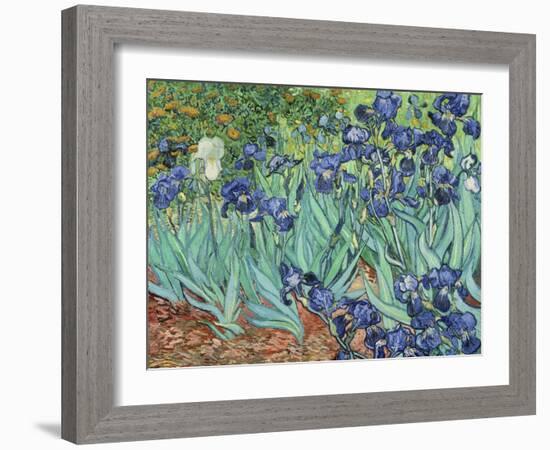 Irises, 1889-Vincent van Gogh-Framed Giclee Print