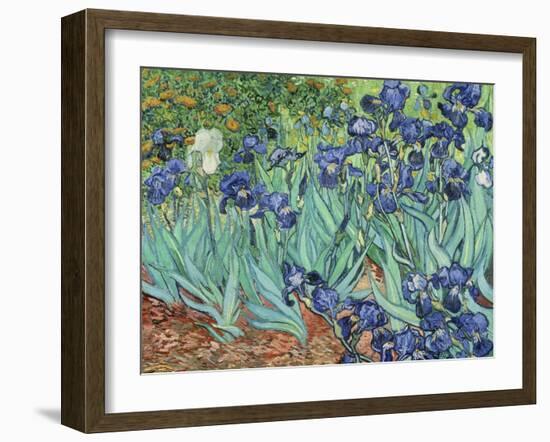 Irises, 1889-Vincent van Gogh-Framed Giclee Print