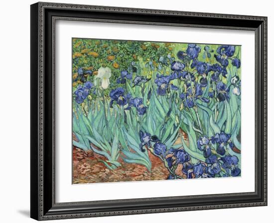 Irises, 1889-Vincent van Gogh-Framed Giclee Print