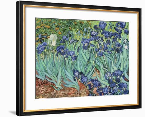 Irises, 1889-Vincent van Gogh-Framed Premium Giclee Print