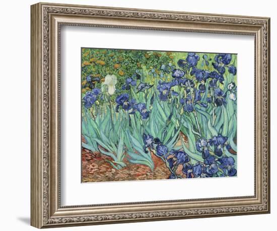 Irises, 1889-Vincent van Gogh-Framed Giclee Print